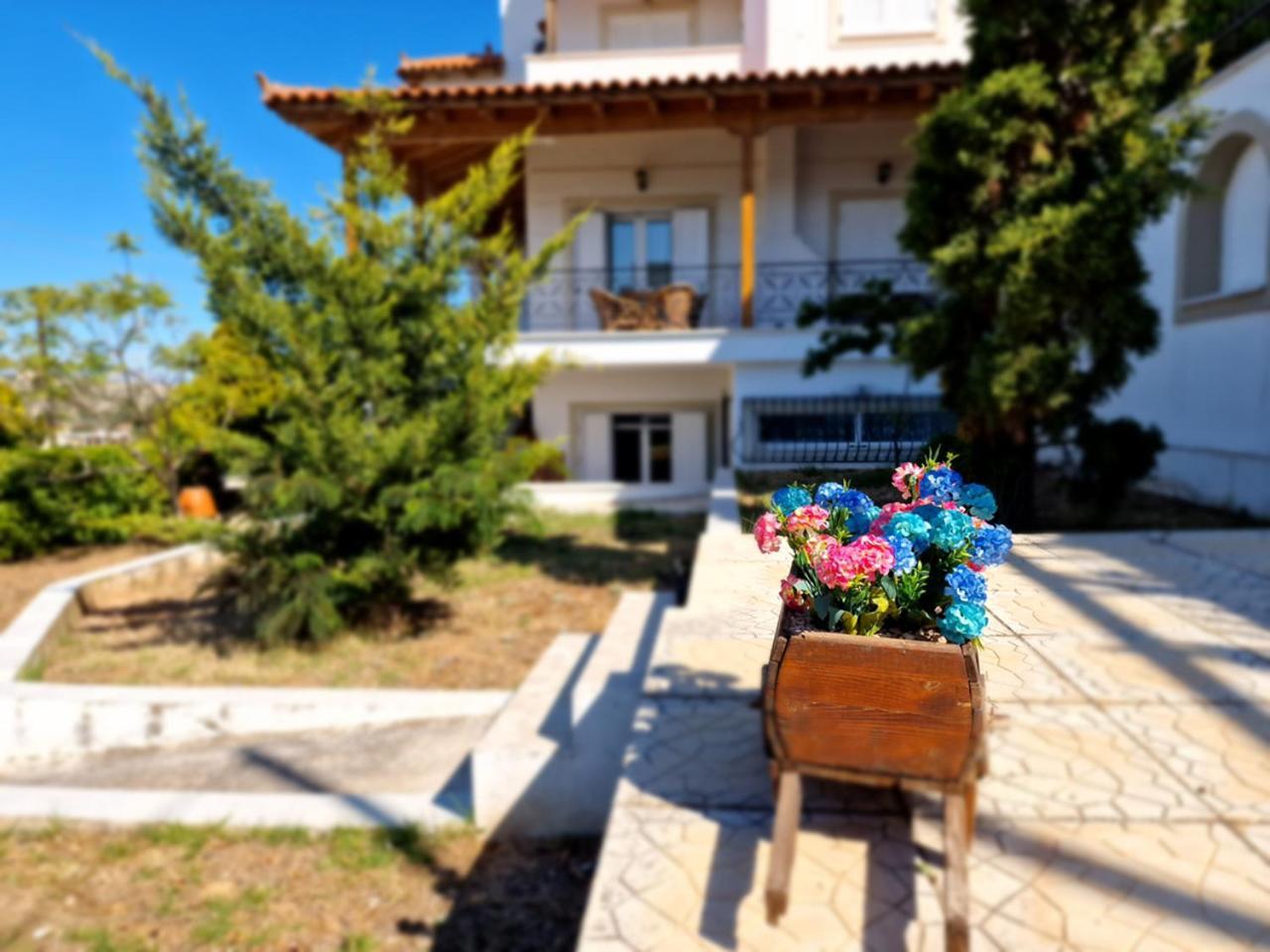 The Mirador Boutique Villa With Scenic Sea View Porto Rafti Exterior photo