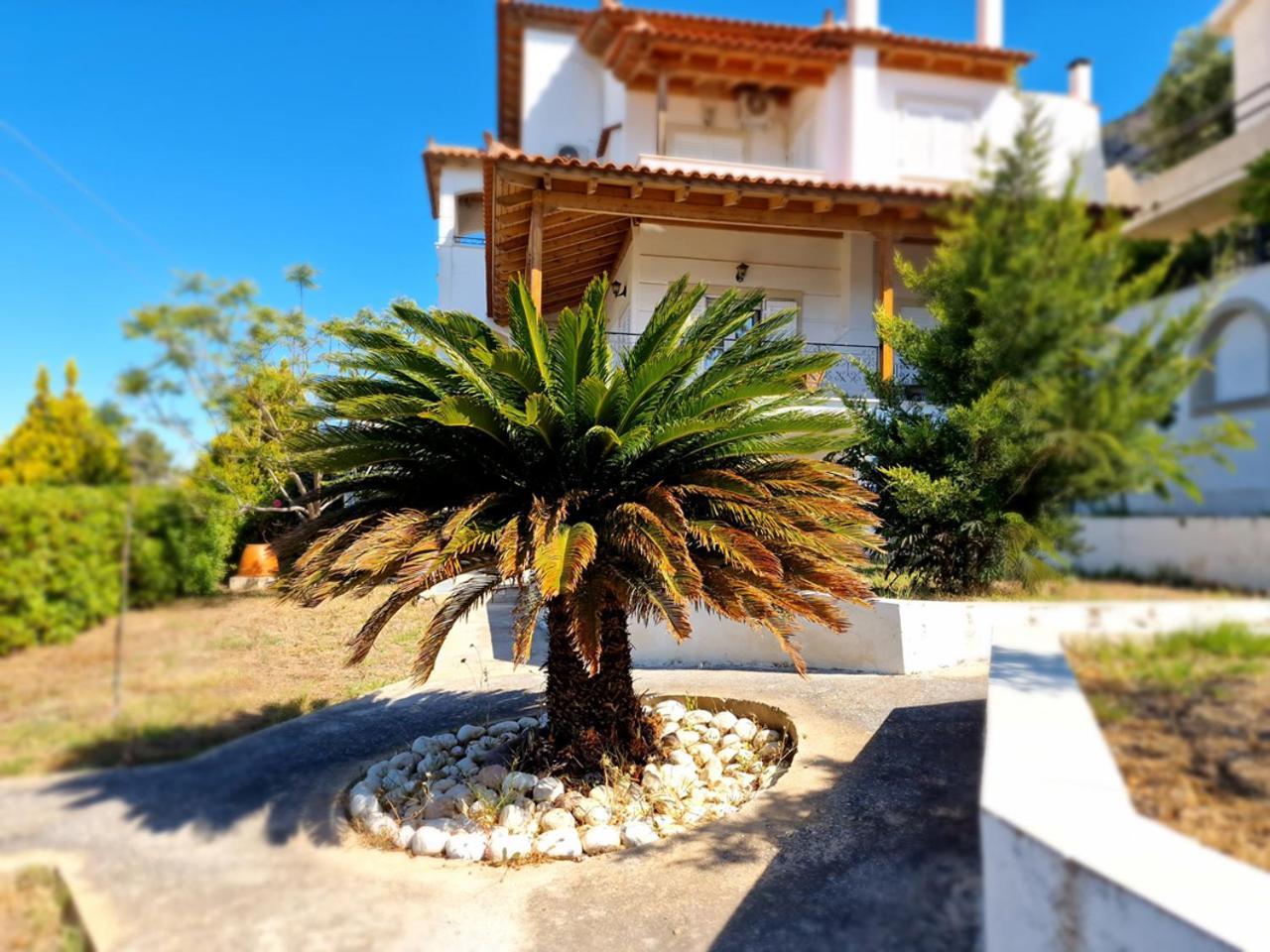 The Mirador Boutique Villa With Scenic Sea View Porto Rafti Exterior photo